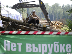 Activist protesting the felling of the Khimki Forest. Source: ITAR-TASS