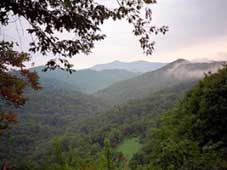 Sochi nature reserve. Source: skavkaz.rfn.ru